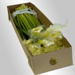 BCLWhite - Wholesale White Calla _DSC1978