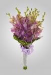 FreshCollection_2