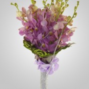 FreshCollection_2