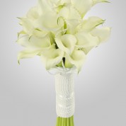 FreshCollection_4