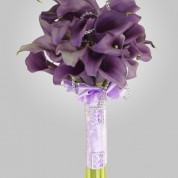 FreshCollection_5
