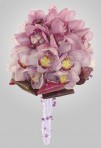 FreshCollection_6