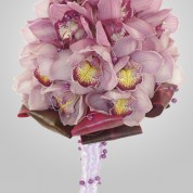 FreshCollection_6