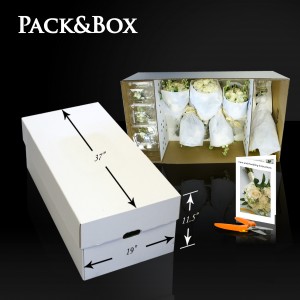 Pack & Box