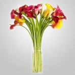 EDH720 – Assorted Calla Lilies in Vase