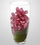 WD860 – Pink Cymbidium Orchids in Vase