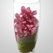 WD860 – Pink Cymbidium Orchids in Vase