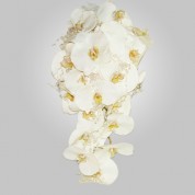 SF-500 White Phalenopsis Orchid Wedding Bouquet