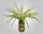 WD800 – White Dendrobium Orchids in Vase