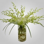 WD800 – White Dendrobium Orchids in Vase