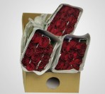 BRRed – Wholesale Red Roses