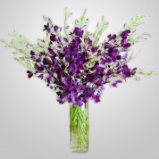WD850 – Purple Dendrobium Orchids in Vase