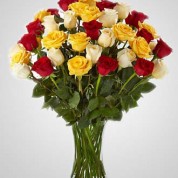 EDH770 – 36 Multicolor Roses in Vase