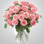 EDH792 – 24 Pink Roses in Vase